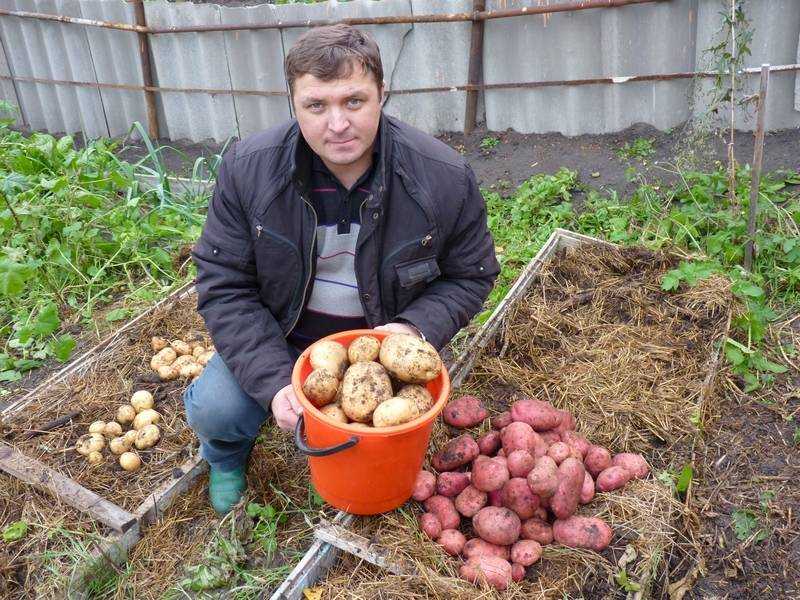 Дачникам запретили сеять свои семена!