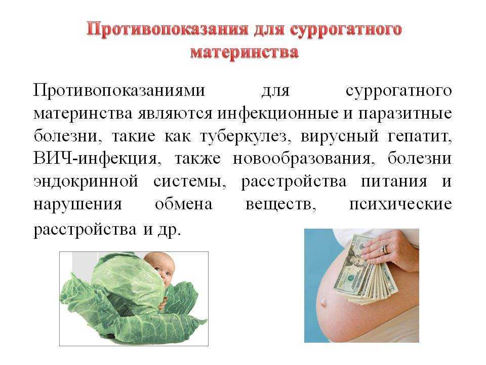 Елена голунова — фото, биография, личная жизнь, новости, «битва экстрасенсов» 2021