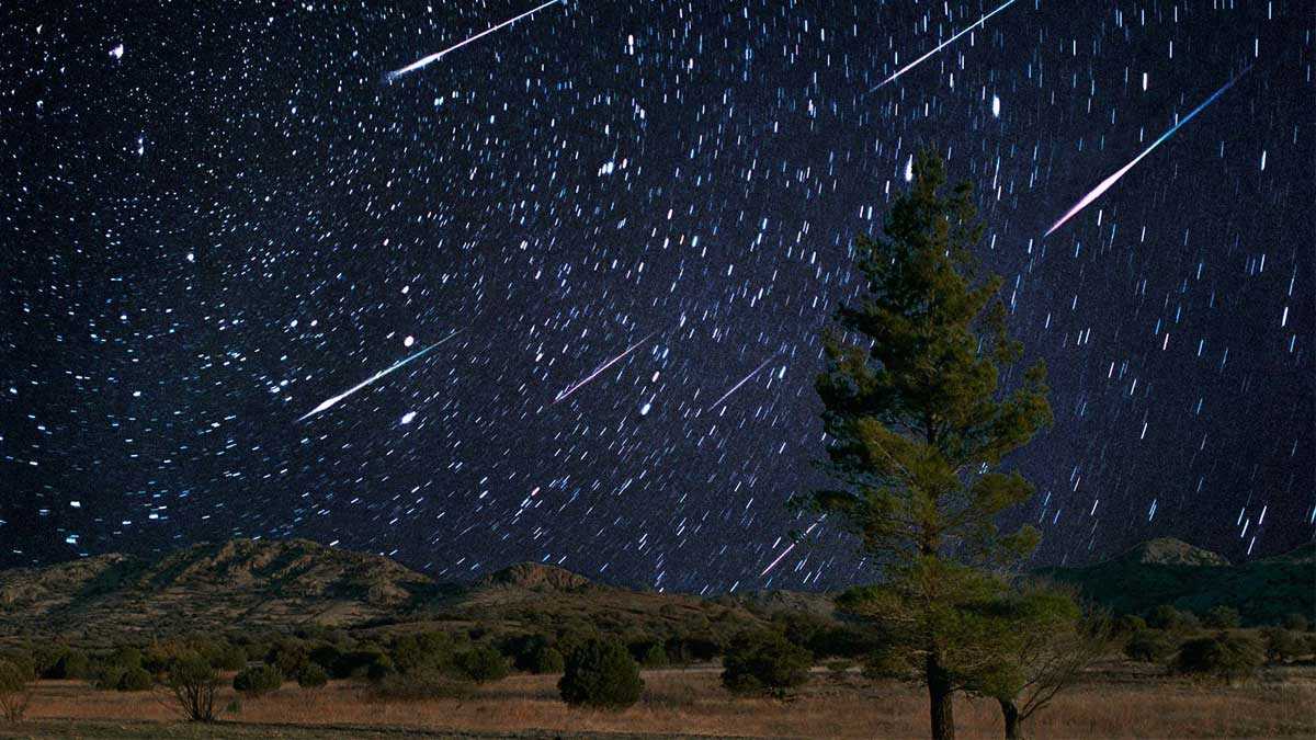 Землю накроет космический ливень: как увидеть самый яркий звездопад - наука - info.sibnet.ru