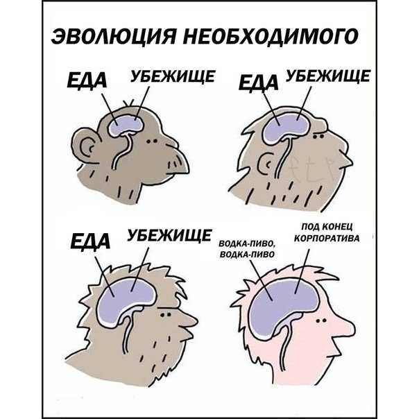 Текст песни корпоратив - водка-пиво на сайте rus-songs.ru