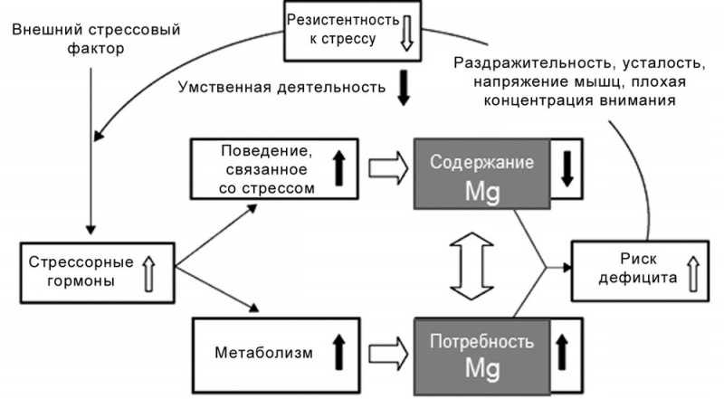 Всемирный день улыбки (7 октября 2022 года) – дни в году