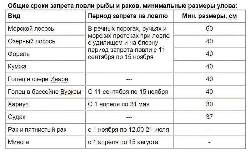 Можно ли перевозить снасти в лодке в нерест? новые правила и запреты на 2023 год | я же рыбак | дзен