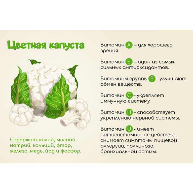 Цветная капуста: польза и вред, лечебные свойства и рецепты