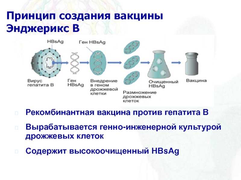 8 мифов о раке | международная клиника medica24 | дзен
