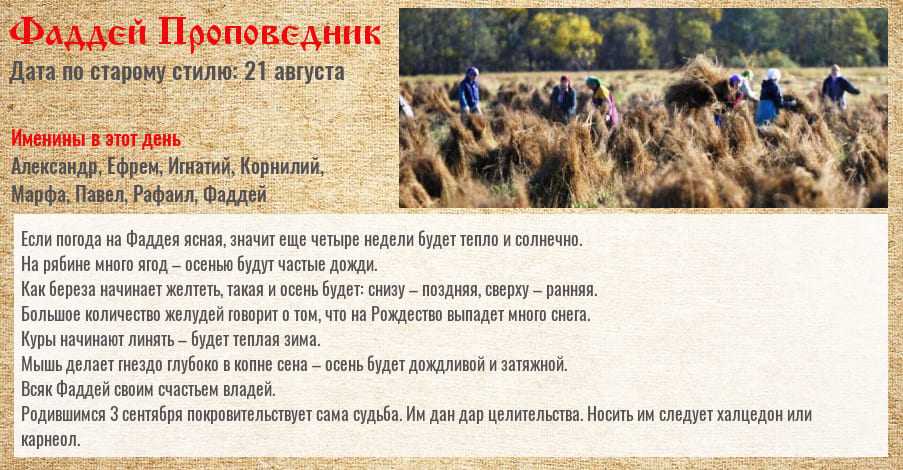 Приметы на 3 ноября 2022 года: что категорически запрещается делать в этот день » лента новостей казахстана и мира - kazlenta.kz