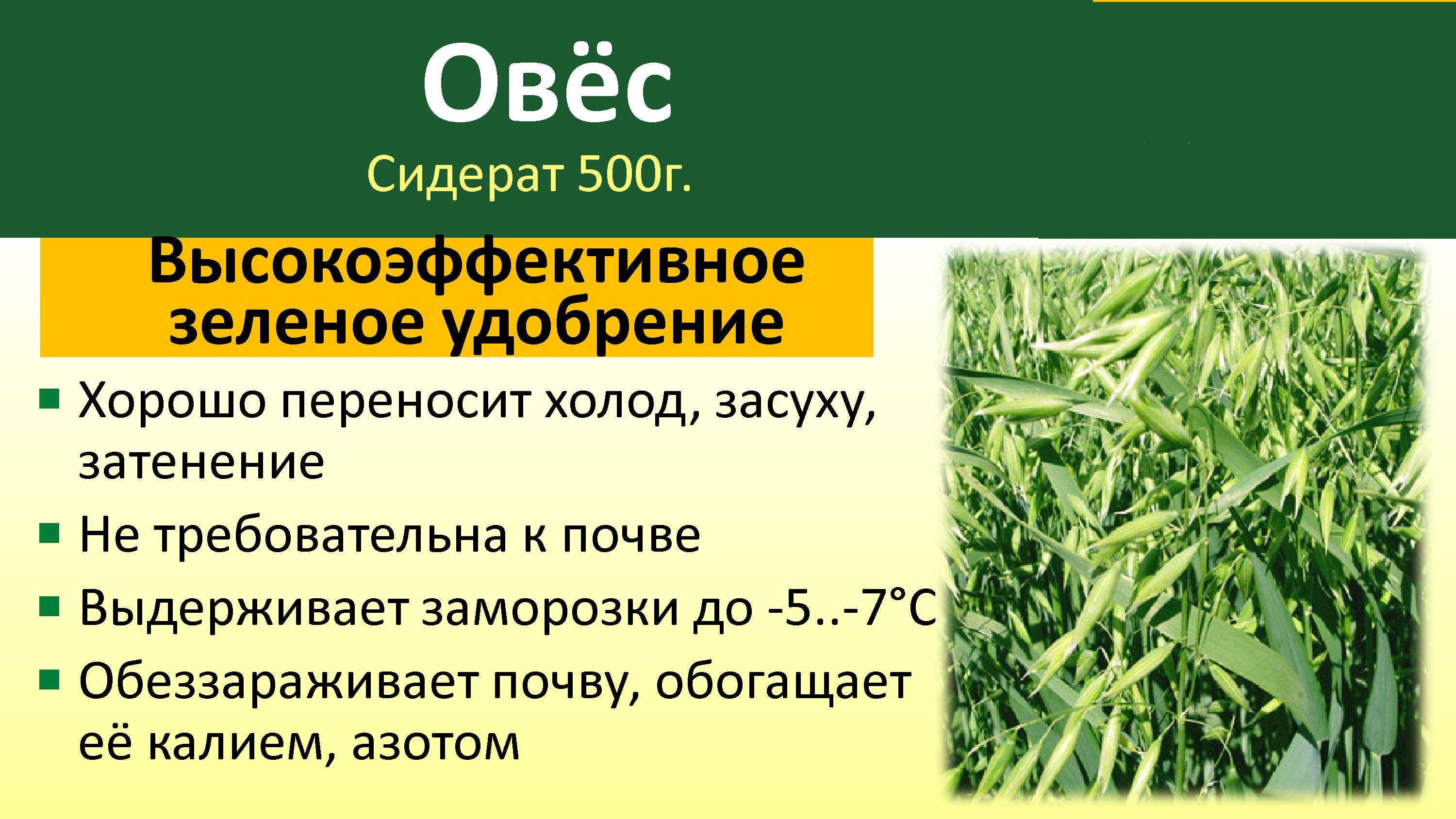 Приметы и поверья на 22 мая 2022 года: что категорически нельзя делать в этот день