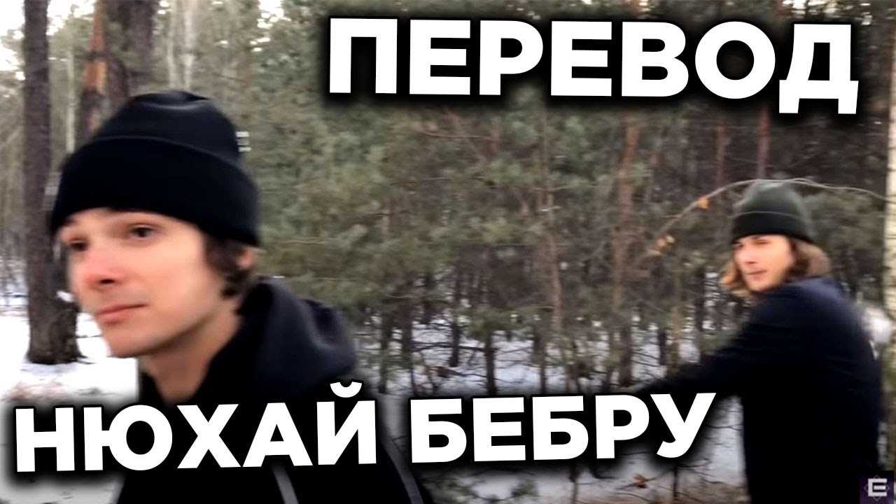 Нюхай бебру – что это такое
