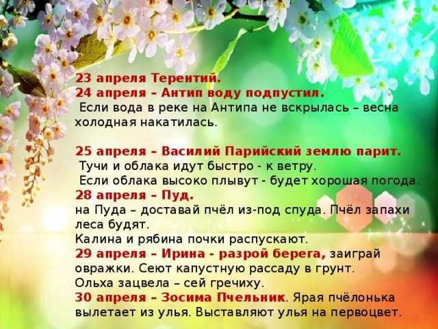 Народные приметы на 22 мая 2022 года: что можно и чего нельзя делать в этот день
