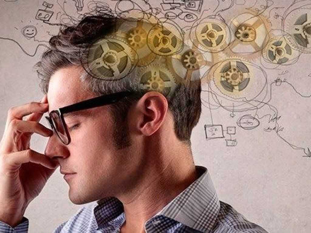 Определение уровня интеллекта по внешним данным человека