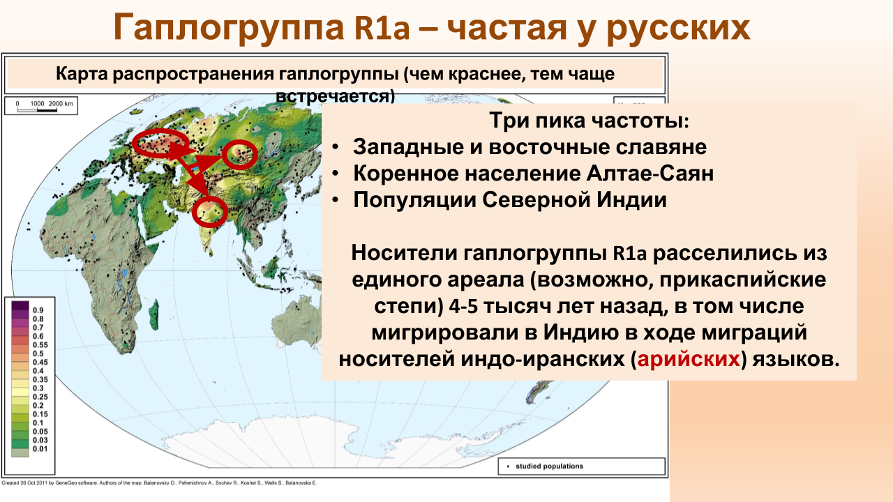 Сколько монголо-татарских генов есть у русских?
