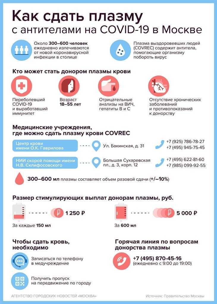 «кровная честь»: как стать донором крови и плазмы в россии - новости медицины