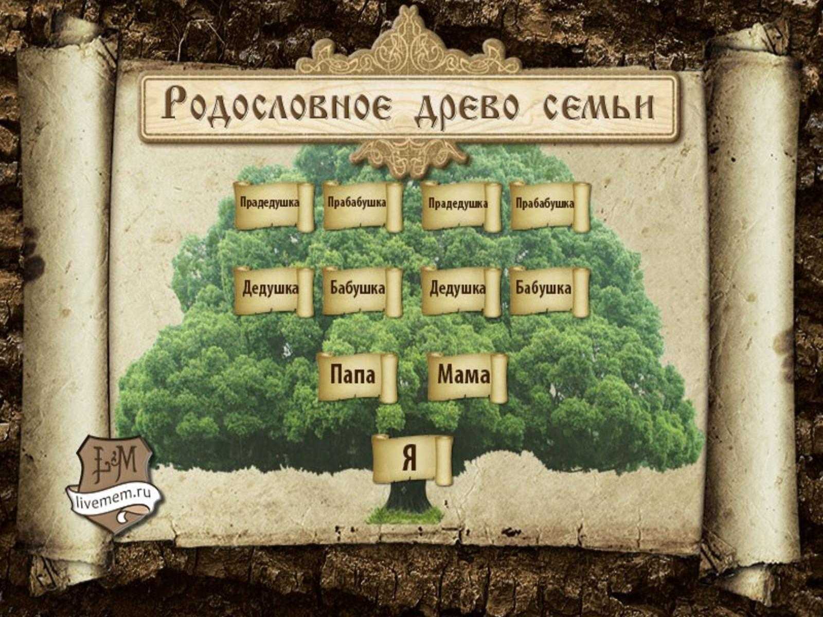 Как найти свой род предков по фамилии бесплатно без регистрации