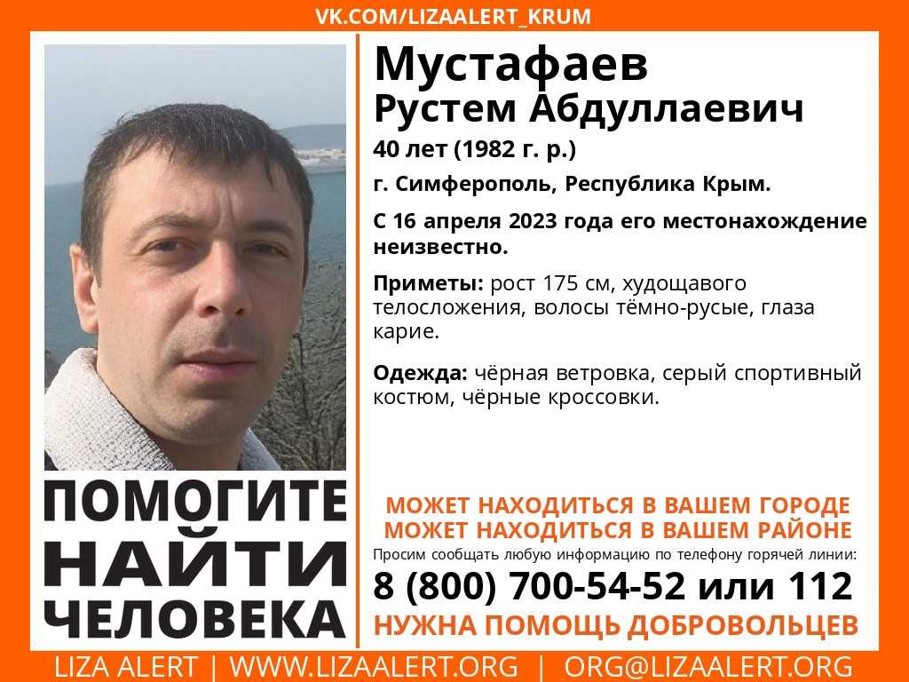 «тяжелее всего искать детей»: поисково-спасательному отряду «лиза алерт» десять лет