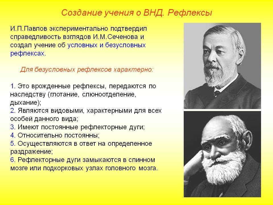 Топ-10 самых высоких наций в мире