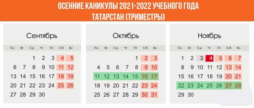 Объявит ли минобр дистанционное обучение с 1 сентября 2021 года и поголовную вакцинацию в школах — свежие новости