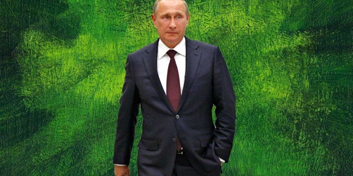 Набиуллина сбежала в сша: последние новости, где сейчас, правда ли, что был побег?