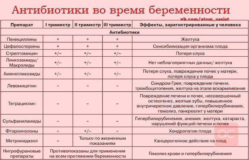 Вирус геморрагической лихорадки с почечным синдромом