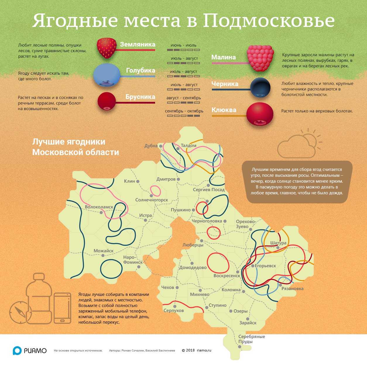 Грибные места в подмосковье 2022 + видео
