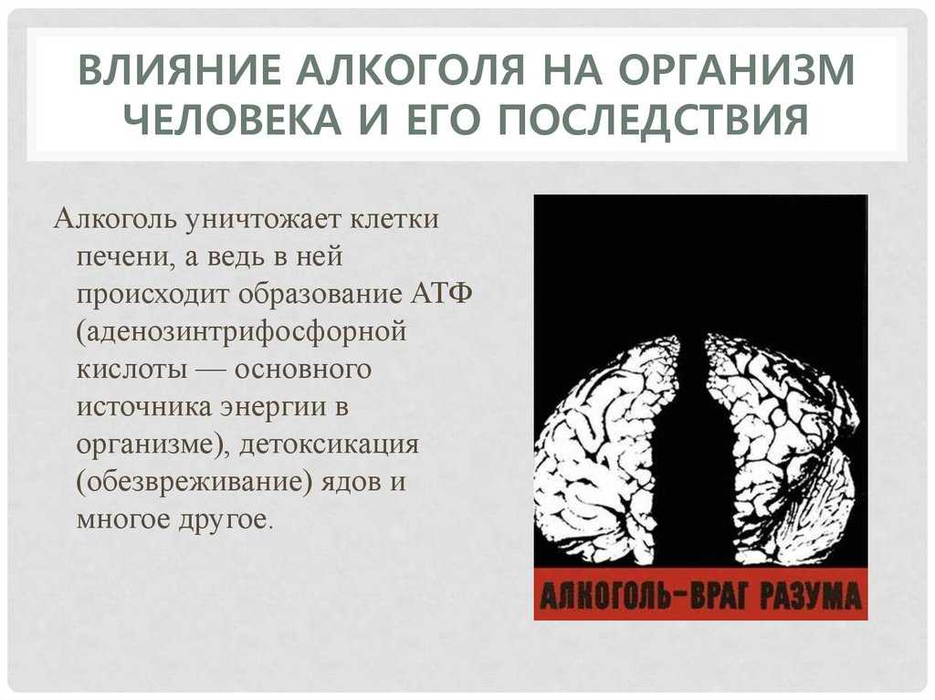 ️ алкогольное слабоумие: симптомы, стадии, последствия | алкогольная деменция, виды и методы лечения