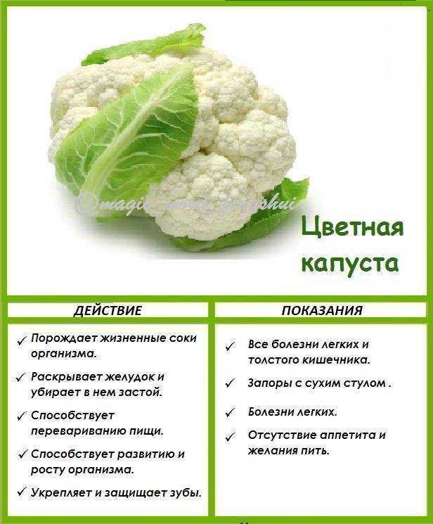 Можно ли есть цветную капусту сырой: как употреблять в свежем виде, какие полезные свойства и противопоказания имеются у этого овоща? русский фермер