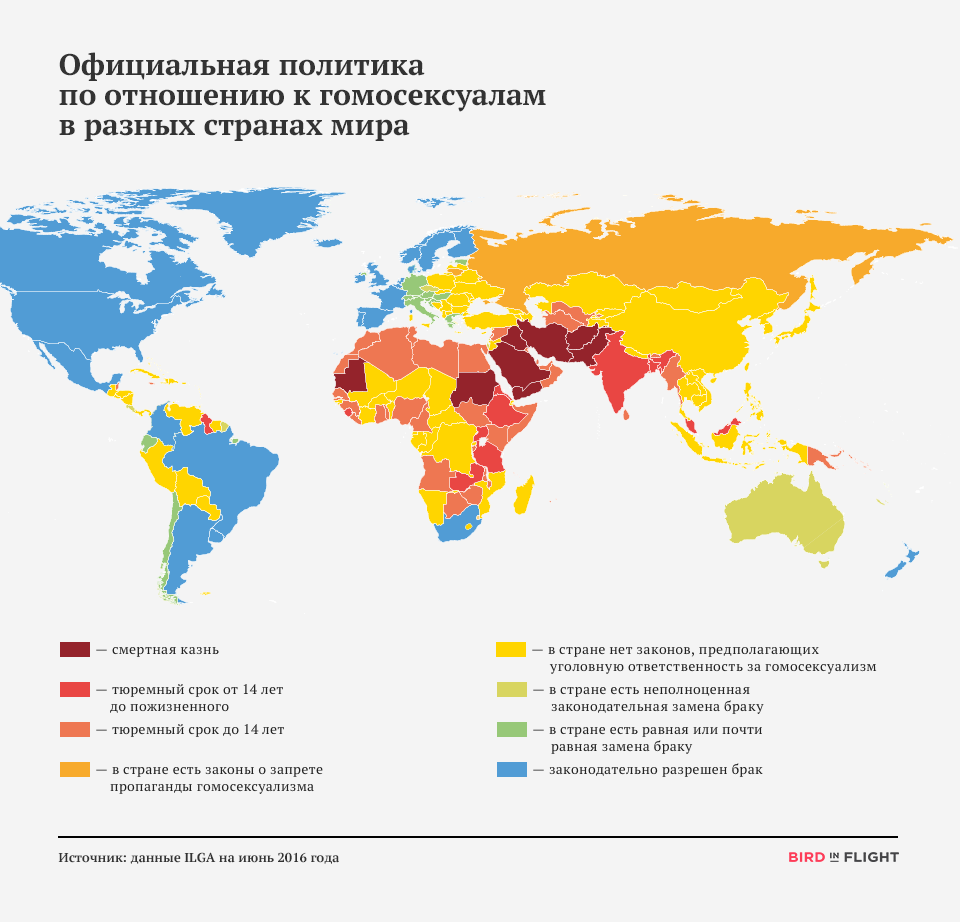 Ученые: представителями лгбт-сообщества не рождаются :  аналитика накануне.ru