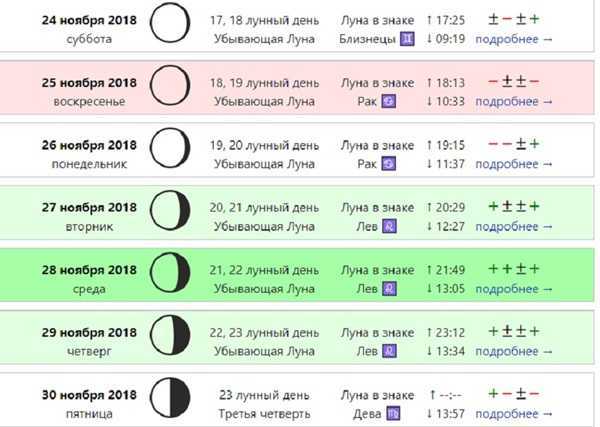 Стрижка по оракулу в июне 2021 года