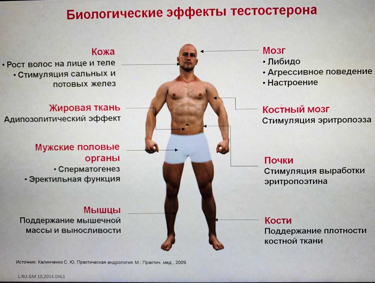 Кто такой золотарь на руси и чем он занимается