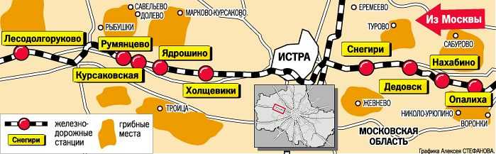 Грибная карта подмосковья, где и какие грибы можно собирать в августе — сентябре 2021 года