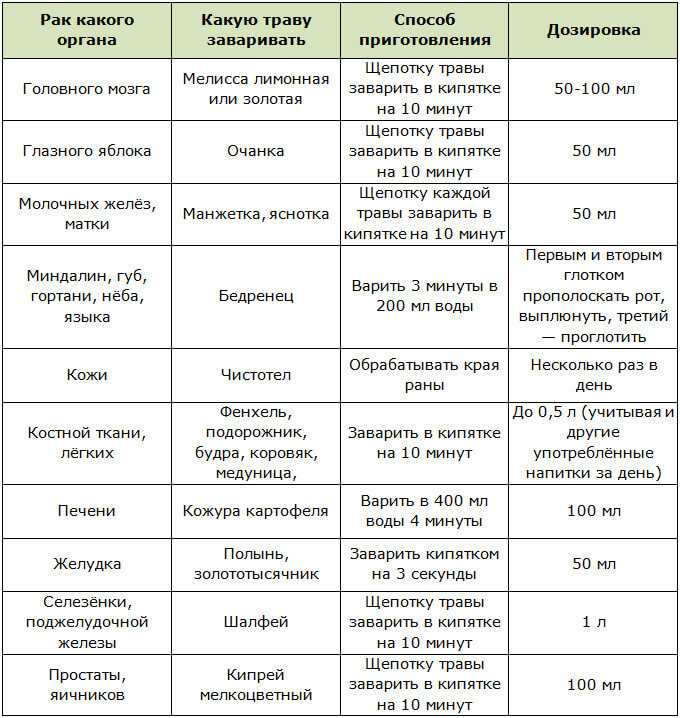 Голодание по бройсу: на овощном соке и травах в течение 42 дней