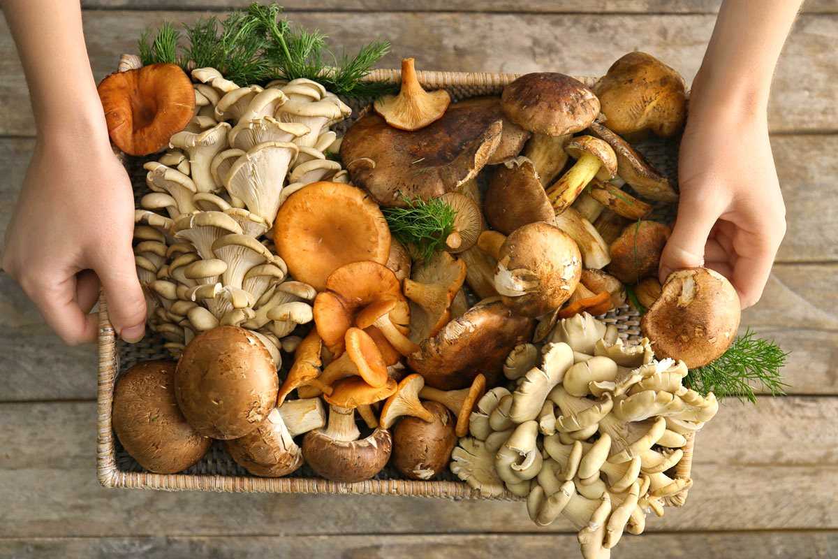 Сколько можно хранить маринованные грибы домашнего приготовления: сроки
