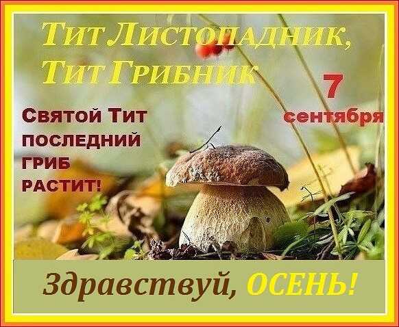 Приметы на 7 января 2023 года: что нельзя и что можно делать на рождество » лента новостей казахстана и мира - kazlenta.kz