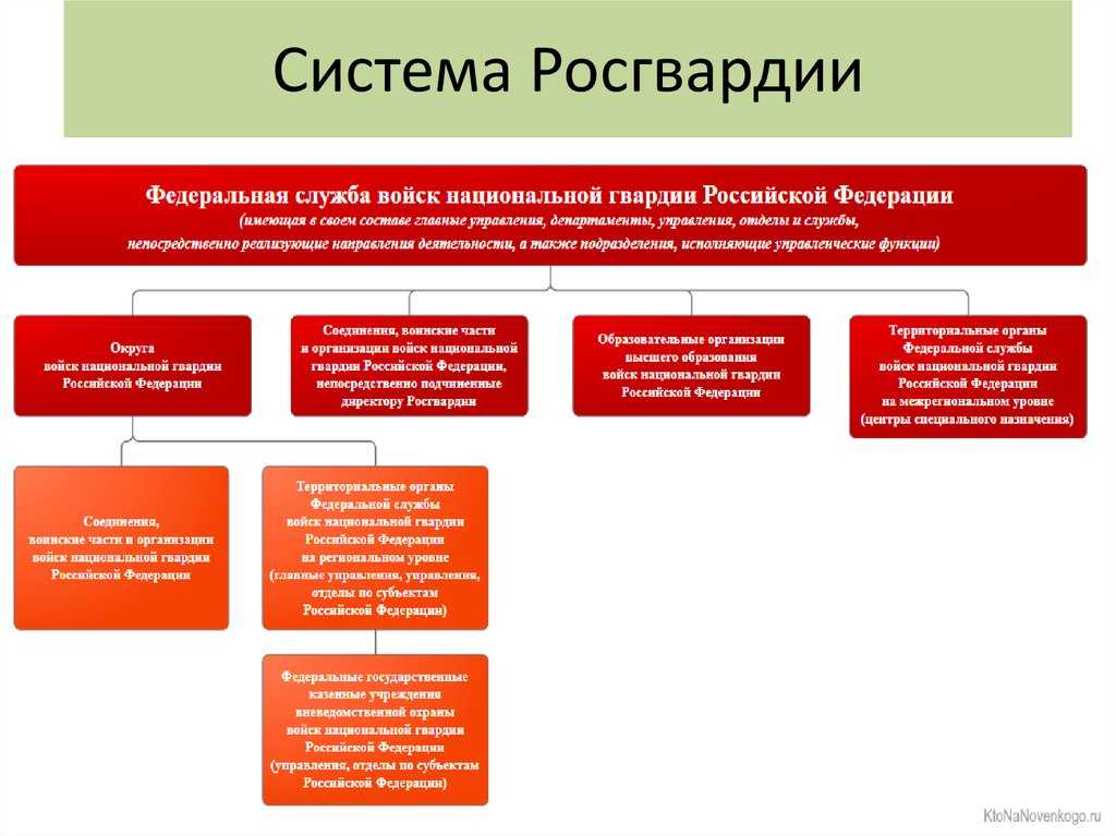 Список специальных званий в росгвардии - названия, фото