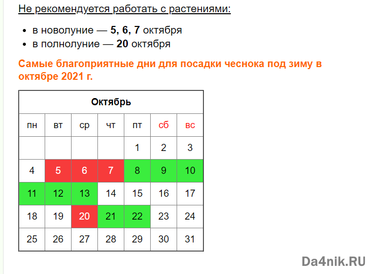 Дачники начали сажать чеснок под зиму по лунному календарю 2018 года - rsute