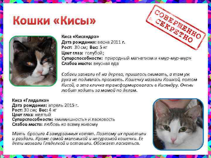 Почему кошки отзываются на "кис-кис"?