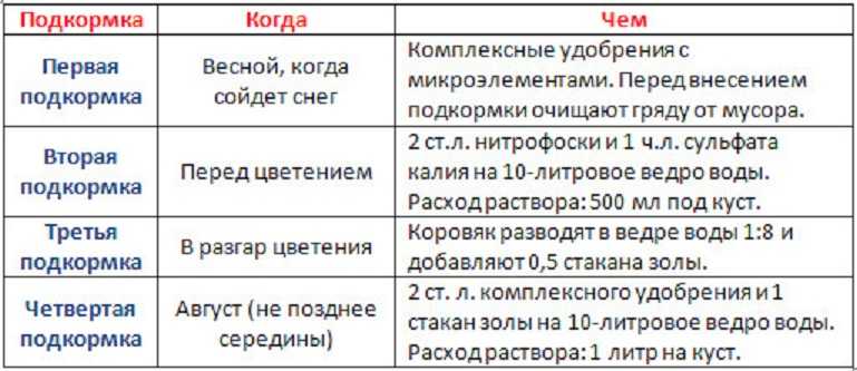 7 простых народных средств подкормки клубники весной
