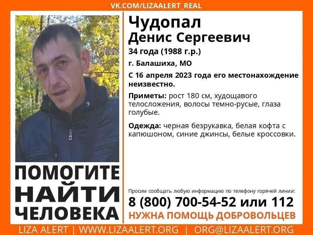 "лиза алерт": инструкция как стать волонтером | правмир
