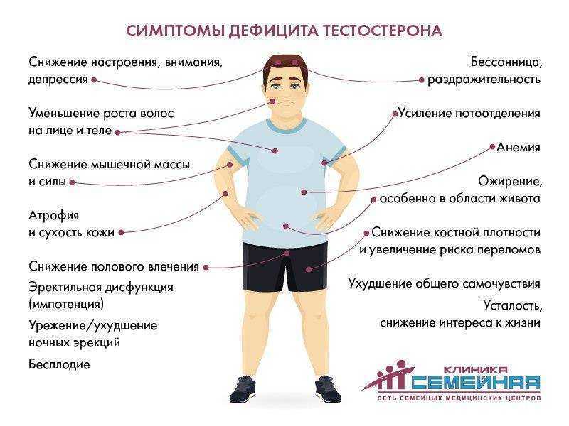 Дуботолки, пилозубы и епанечники — это не мифические существа, а реальные люди. чем они занимались на руси? - русский север