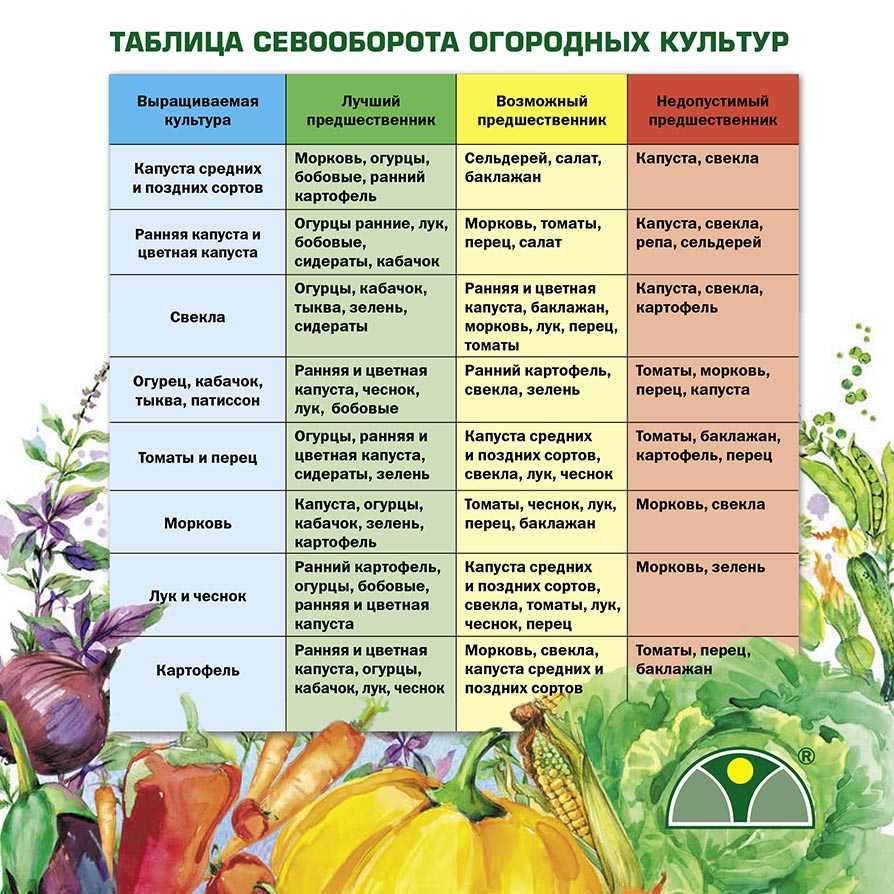 Можно ли сажать на пасхальной неделе