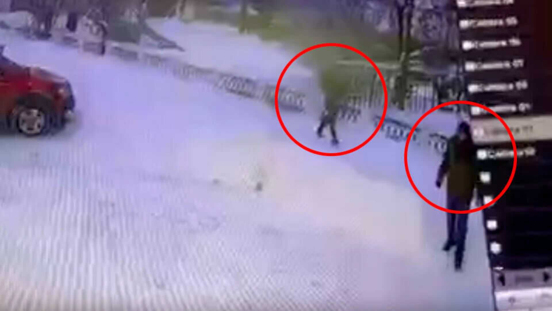 В костроме прошли похороны жестоко убитой 5-летней вероники николаевой
