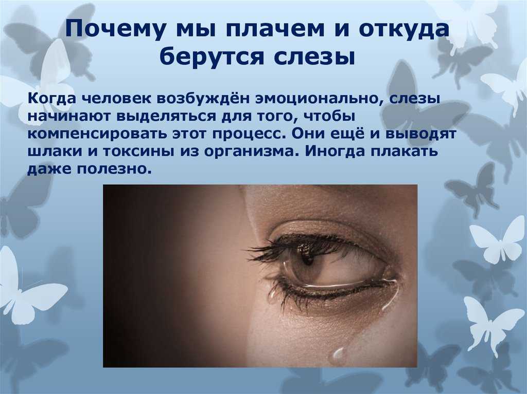 Приметы и поверья на 4 июня 2022 года связаны с отмечаемым по народному календарю днём василиска