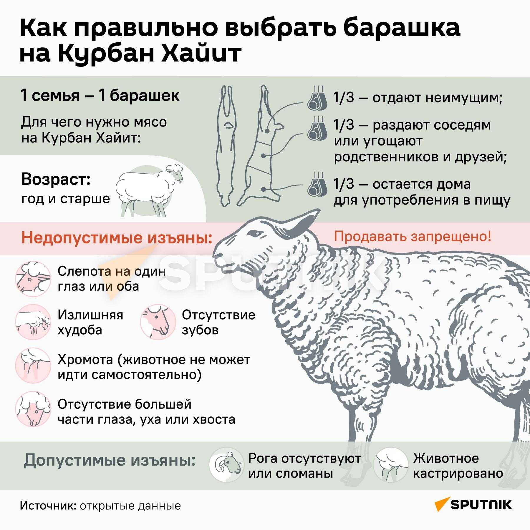Курбан-байрам-2022: в каких регионах россии объявлены выходные дни, и сколько они продлятся