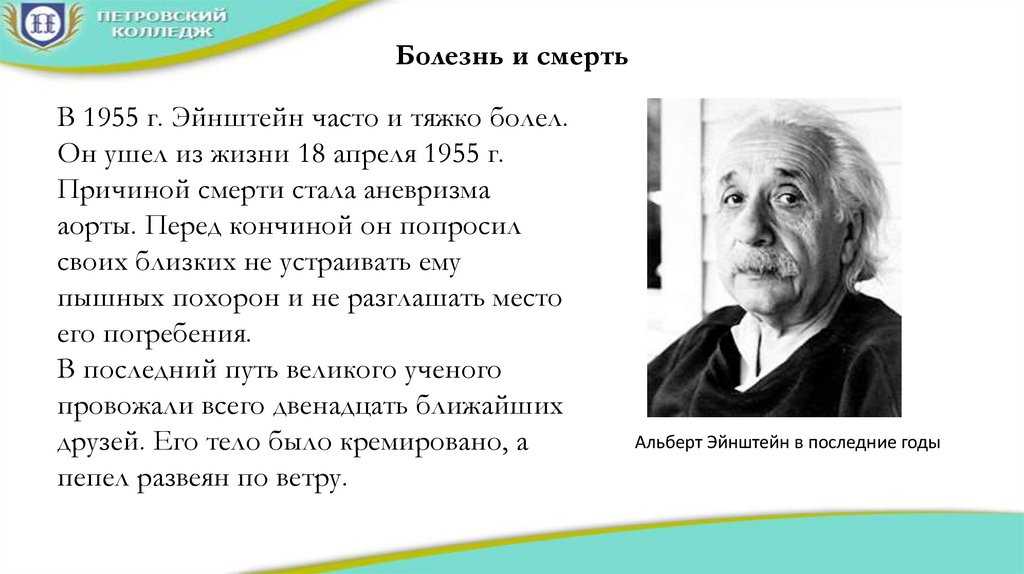 Ботан или двоечник: биография альберта эйнштейна