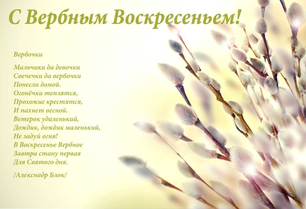 Вербное воскресенье у православных: как праздновать и для чего нужны веточки