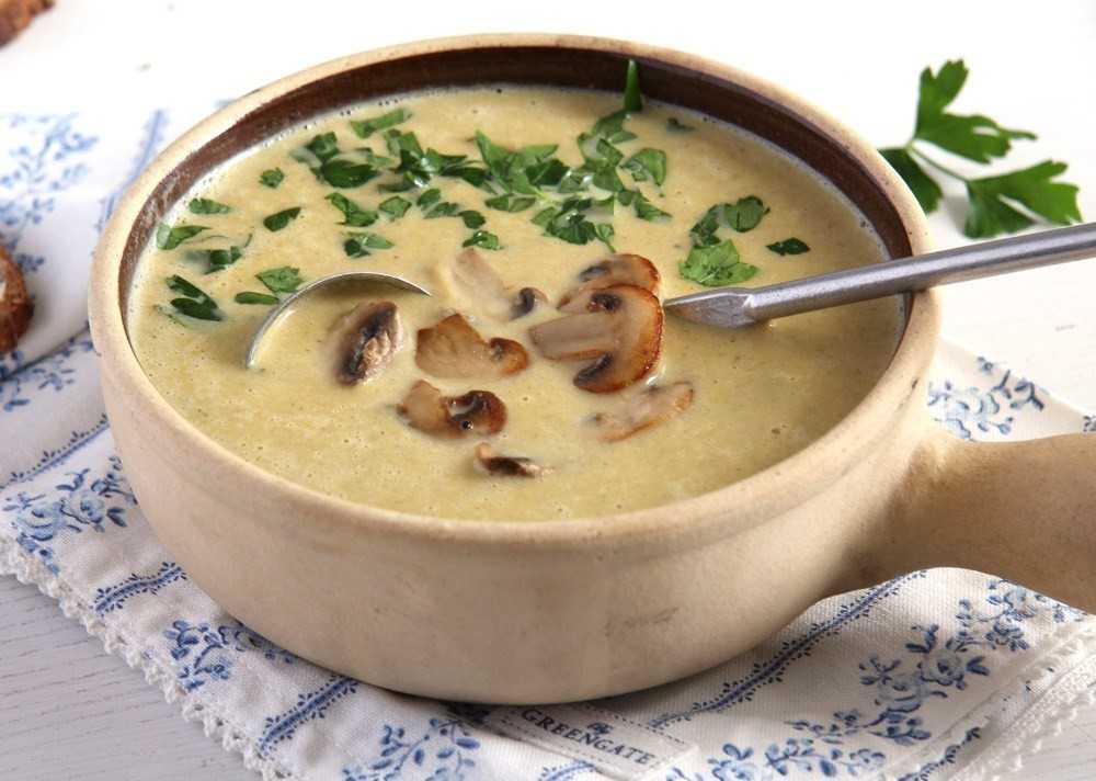 Грибной суп-пюре: 7 вкусных рецептов из грибов