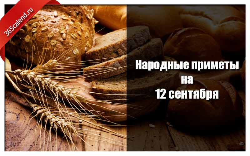 День осеннего равноденствия в 2021 году: приметы, обычаи, что нельзя делать | общество | аиф новосибирск