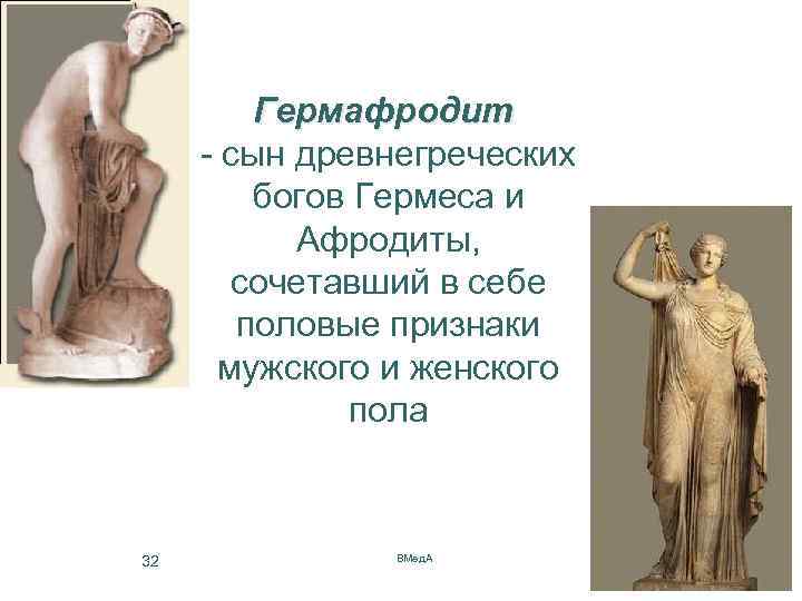 Гермафродитизм