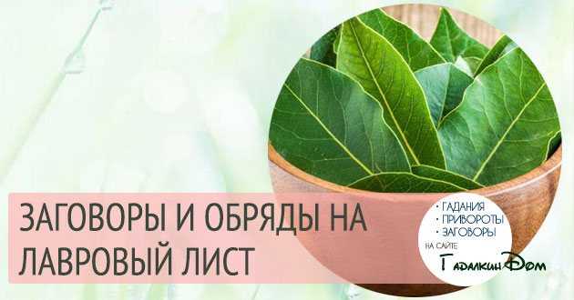 Что произойдет с вашим здоровьем, если поджечь дома лавровый лист