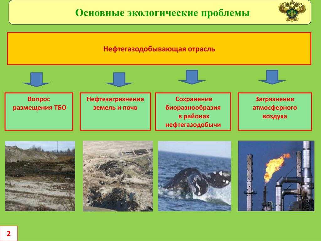 Разлив нефти по курортам краснодарского края | эксперт юг