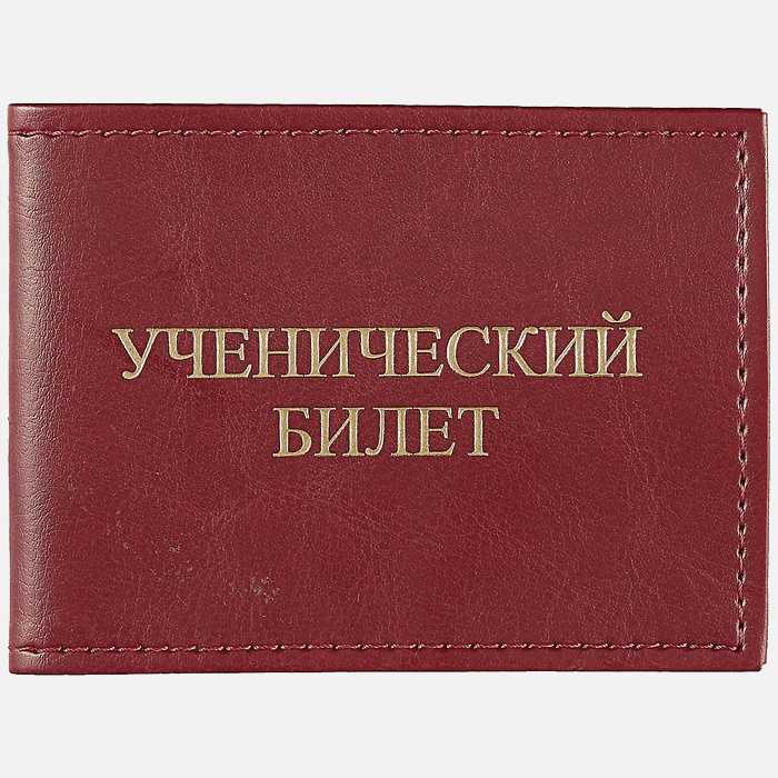 Есть ли льготы у школьников