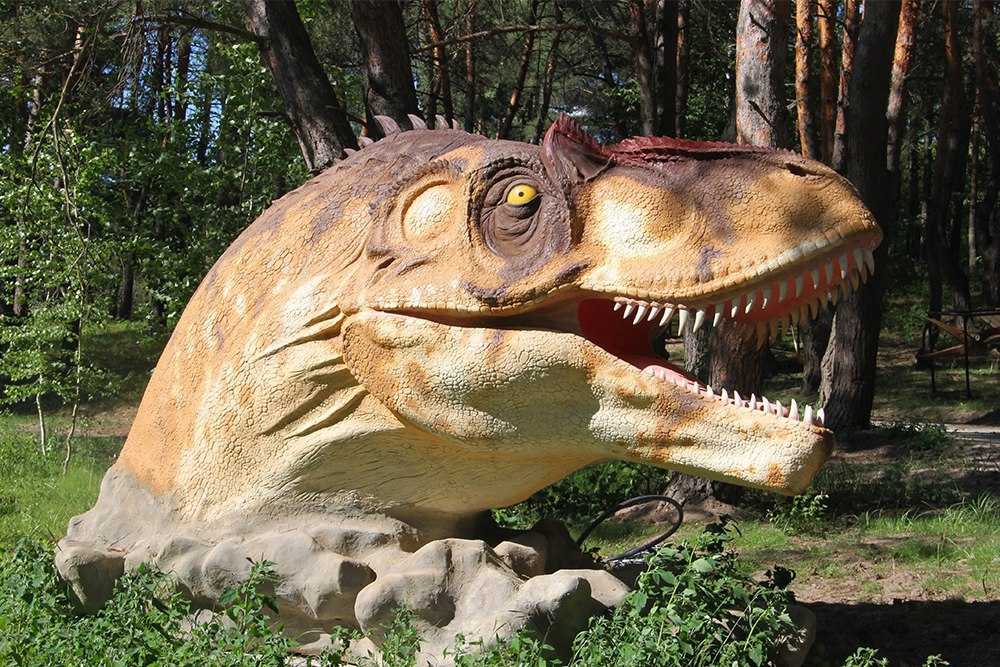 «проснувшиеся» динозавры. в белгородском динопарке открывают новый сезон — fonar.tv